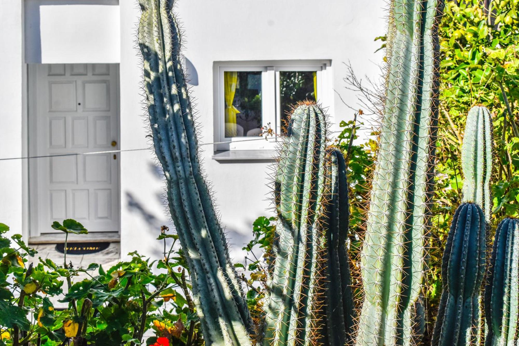 Nest View House Apartman Szkiáthosz Kültér fotó